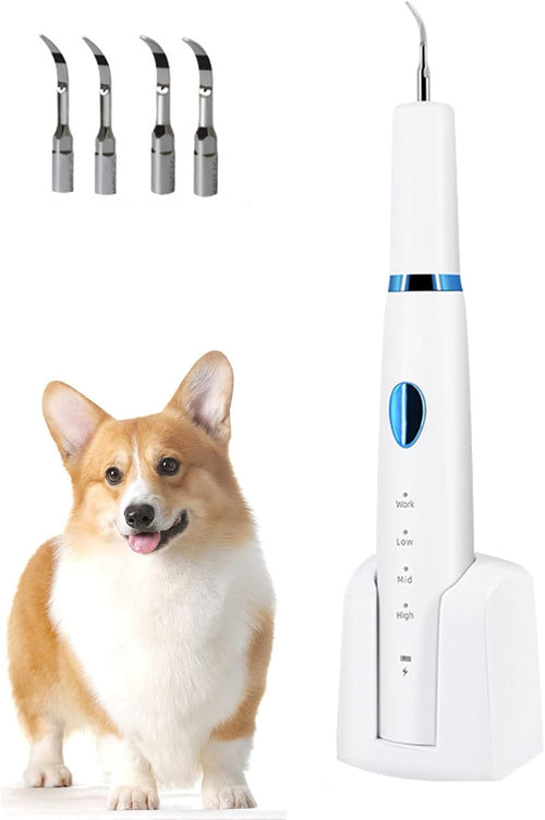 Limpiador De Dientes Eléctrico