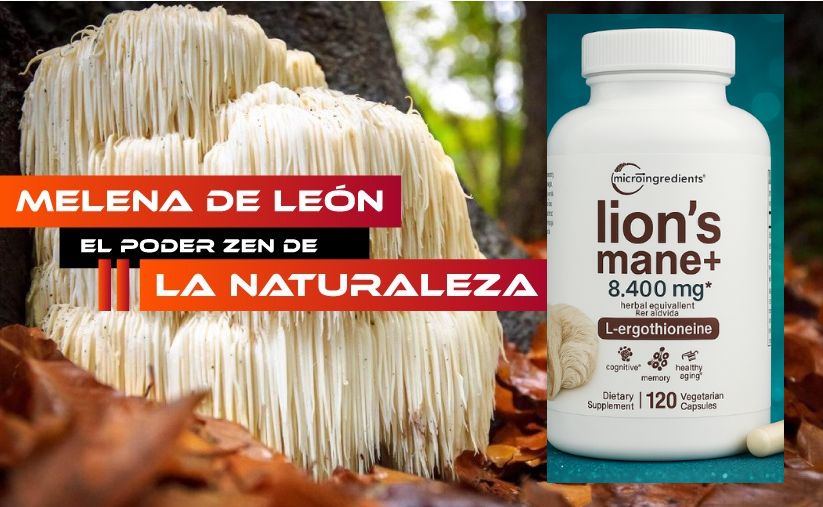 🧠 Melena de León + L-Ergotioneína: Mayor energía, enfoque y vitalidad